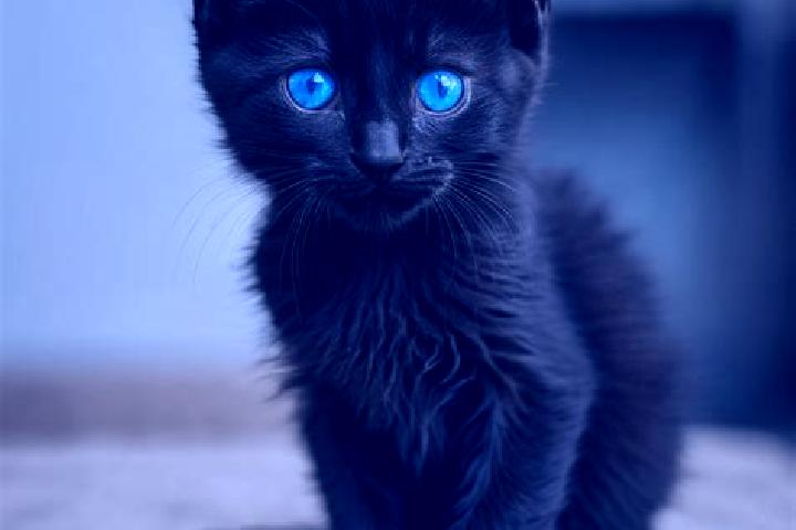Zoey, 39, a black blue-eyed caribbean companion based in Masiga. Offering Fetish, Duos, Massage, BDSM. Available for incall and outcall, day and evening dates.