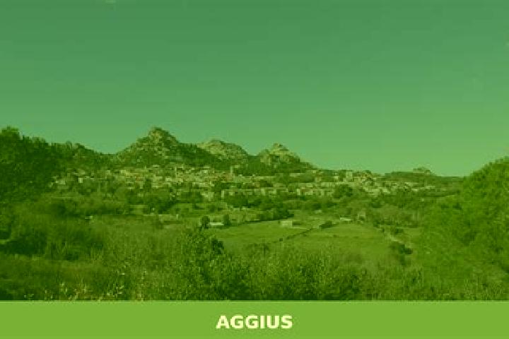 Zoey, 39 — Escort in Aggius, Italy