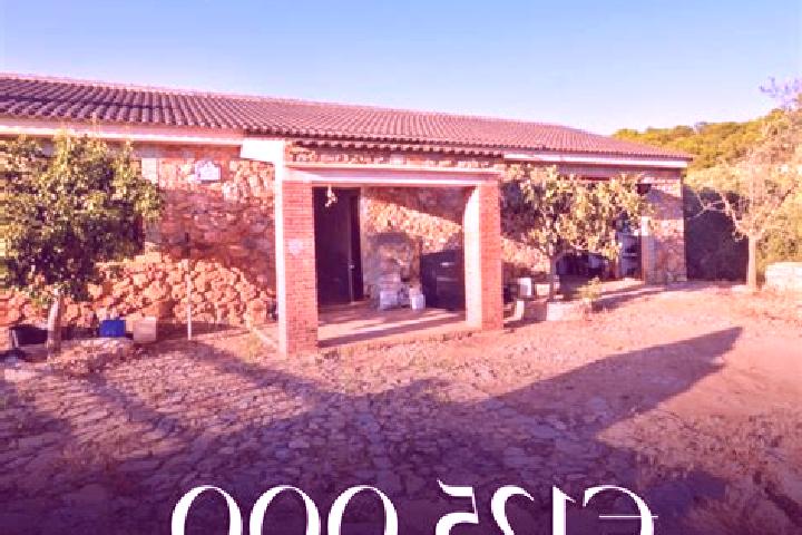 Zoey, 39 — Escort in Albunuelas, Spain