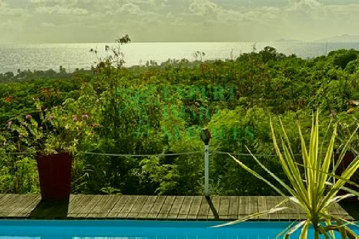 Zoey, 39 — Escort in Grand-Bourg, Guadeloupe