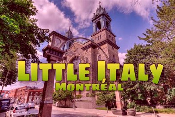 Zoey, 39 — Escort in Palmerston-Little Italy, Canada