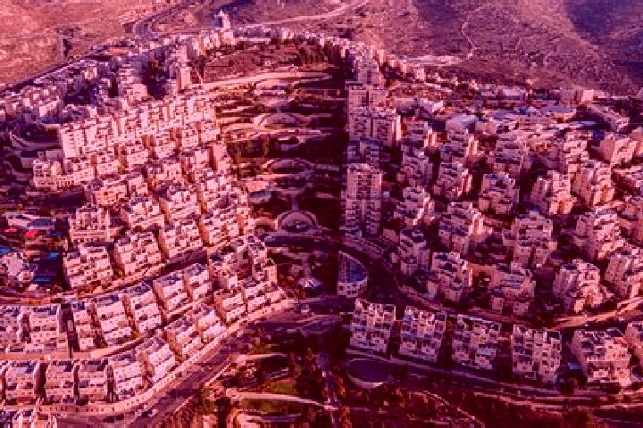Zoey, 39 — Escort in Qalandiya, Palestine