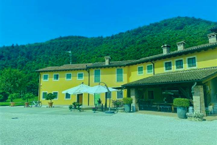 Zoey, 39 — Escort in Sala Baganza, Italy